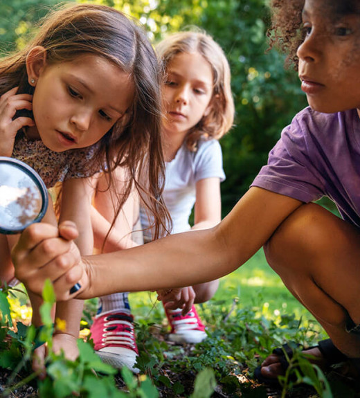 Kelberman The Center of Excellence for Autism Kamp Connections